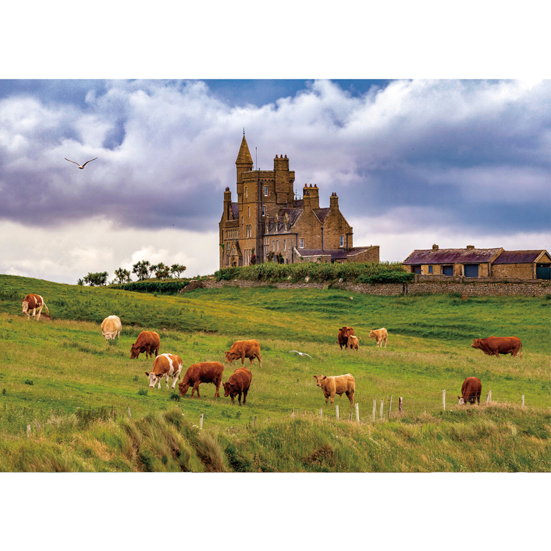 Stories Wooden Jigsaw Puzzle - aimpuzzle